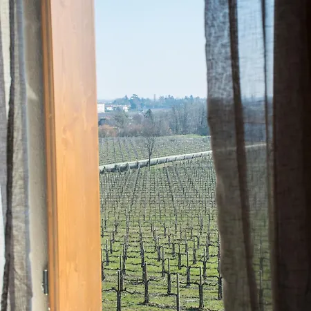 Terre Boscaratto Bed & Breakfast