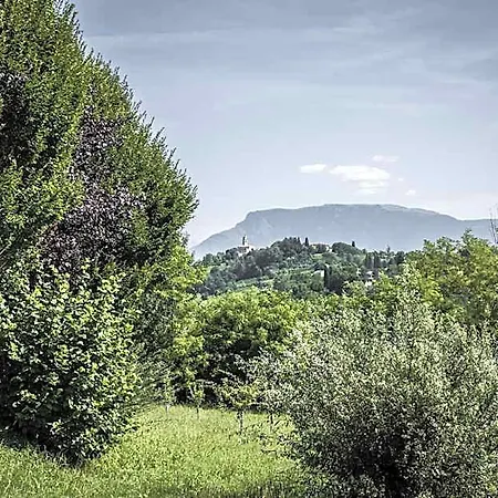 Terre Boscaratto Susegana